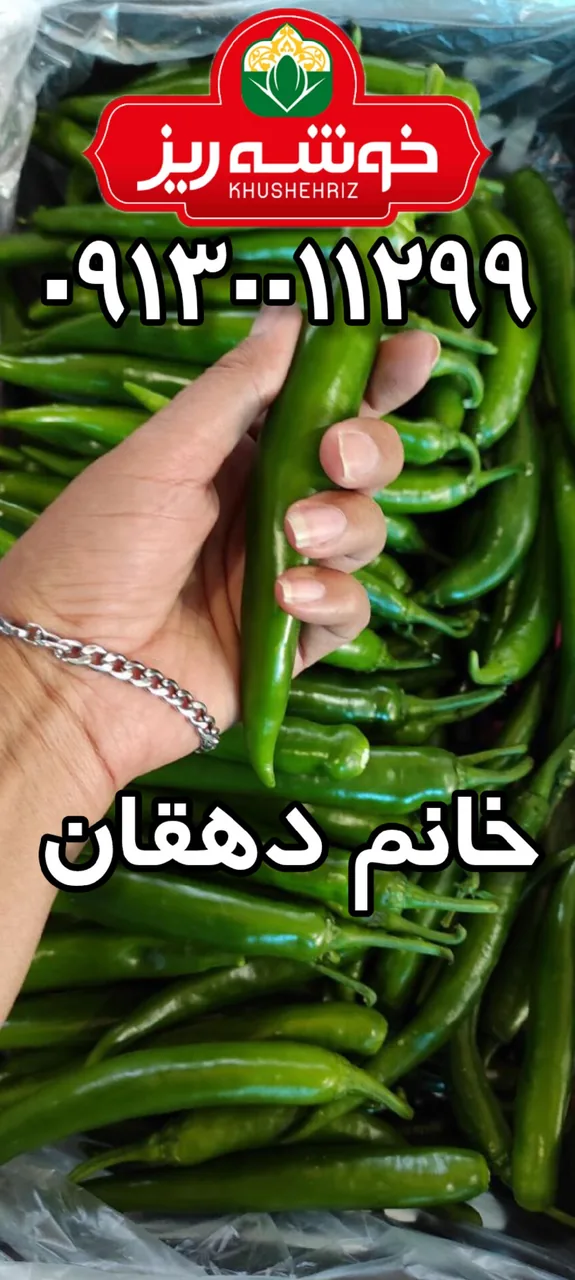 سورتینگ و بسته بندی محصولات گلخانه ای خانم دهقان - تصویر 3