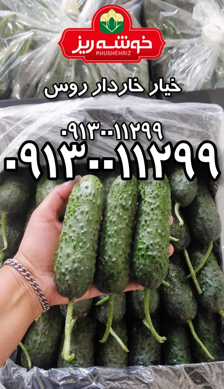 سورتینگ و بسته بندی محصولات گلخانه ای خانم دهقان - تصویر 4