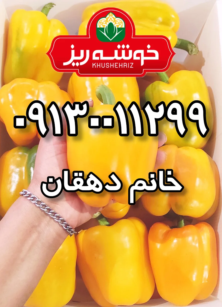 سورتینگ و بسته بندی محصولات گلخانه ای خانم دهقان - تصویر 5