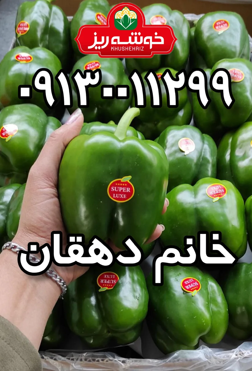 سورتینگ و بسته بندی محصولات گلخانه ای خانم دهقان - تصویر 6