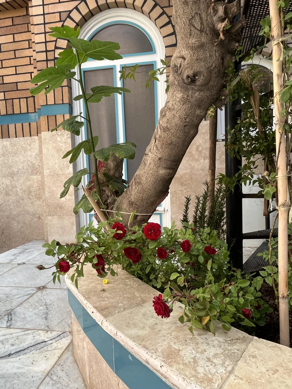 مهمانپذیر سید محمد - تصویر 5