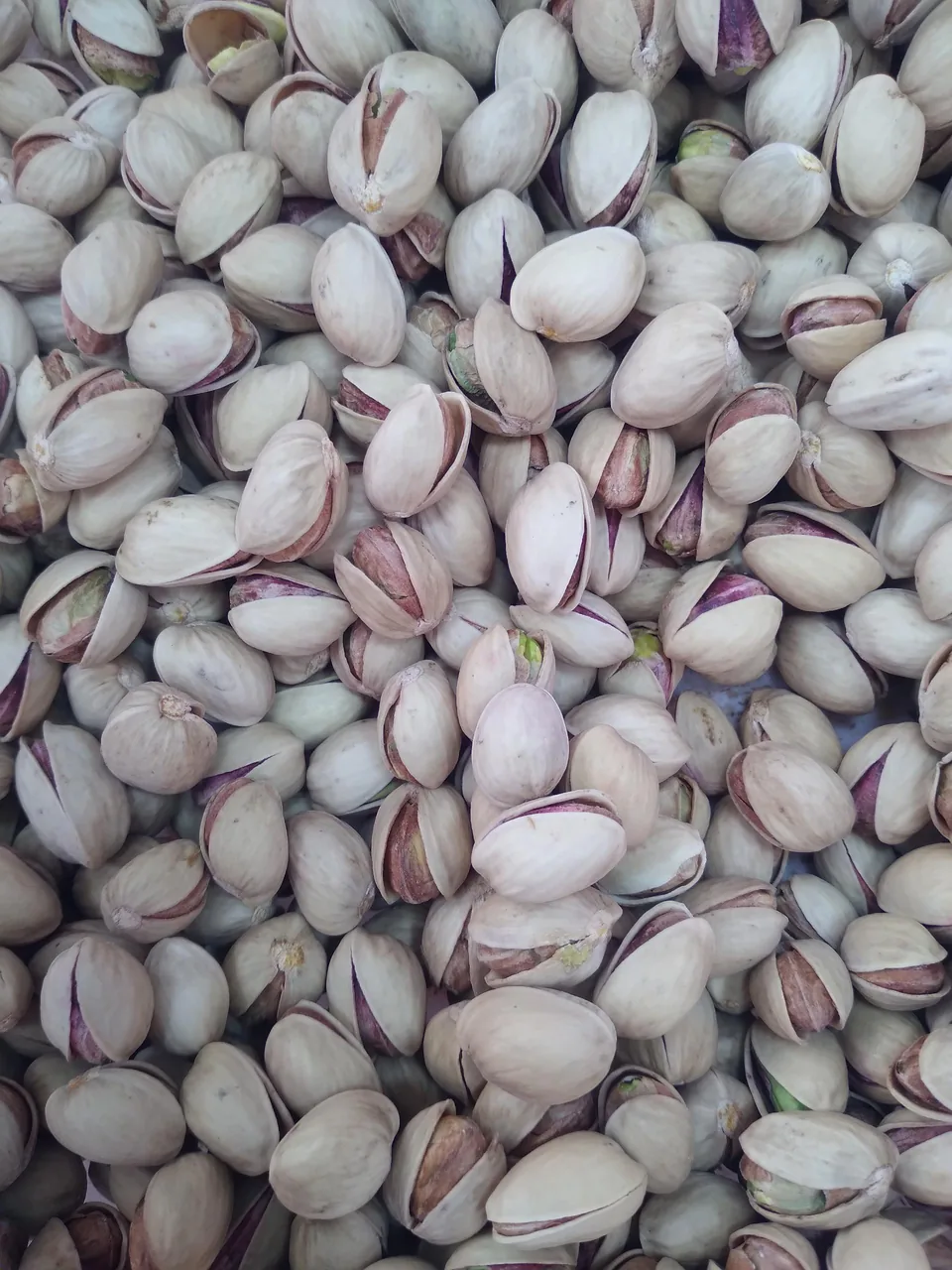 مرکز خرید و فروش پسته قلی‌ زاده - تصویر 4
