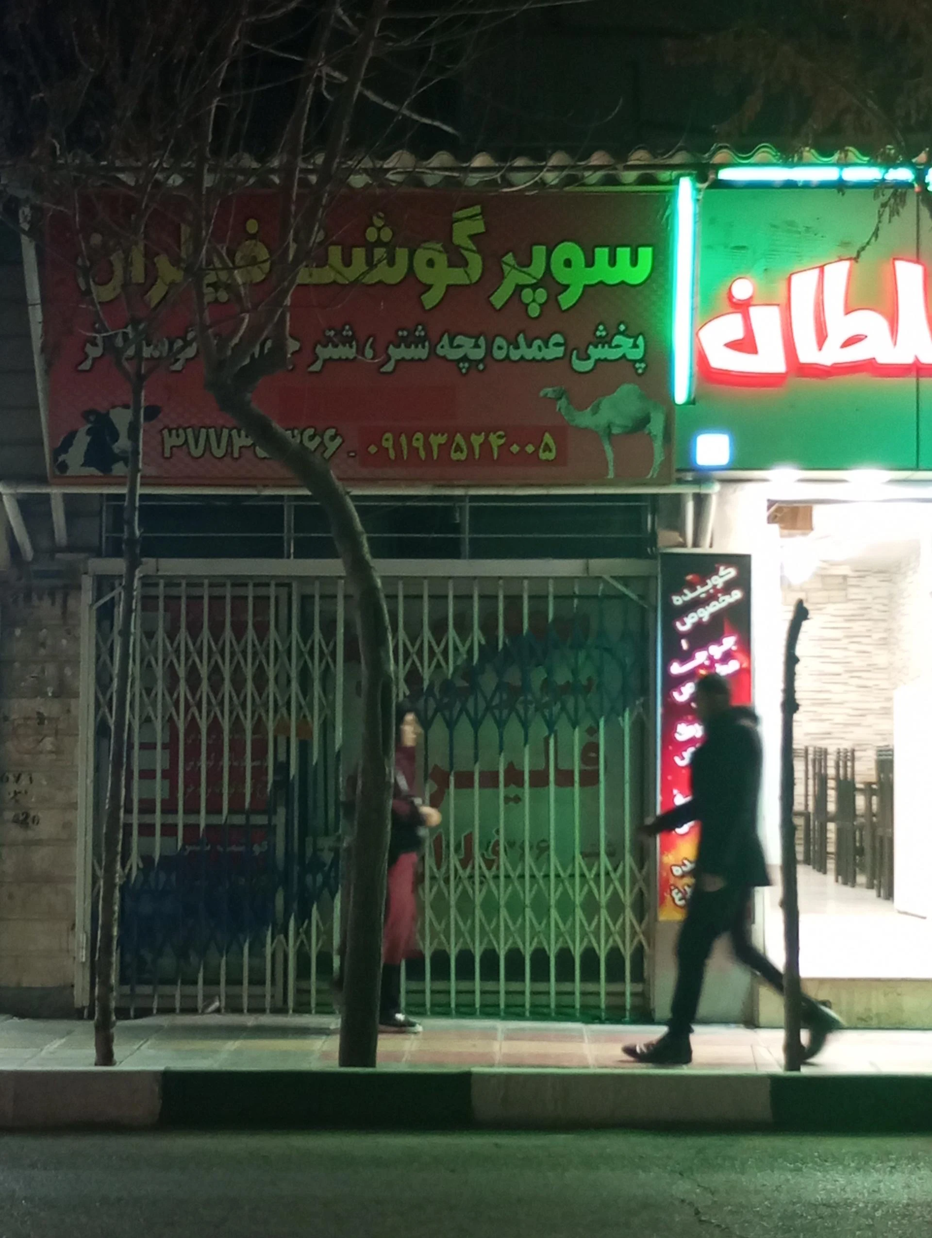 مرغ رسالت - تصویر 2