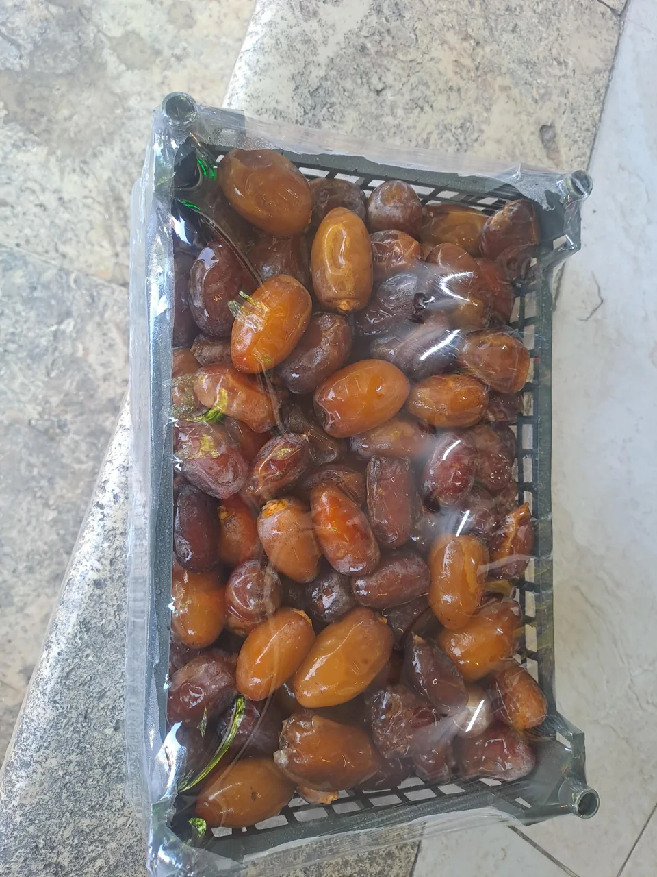 خرما رطب باغچه سلامت - تصویر 5