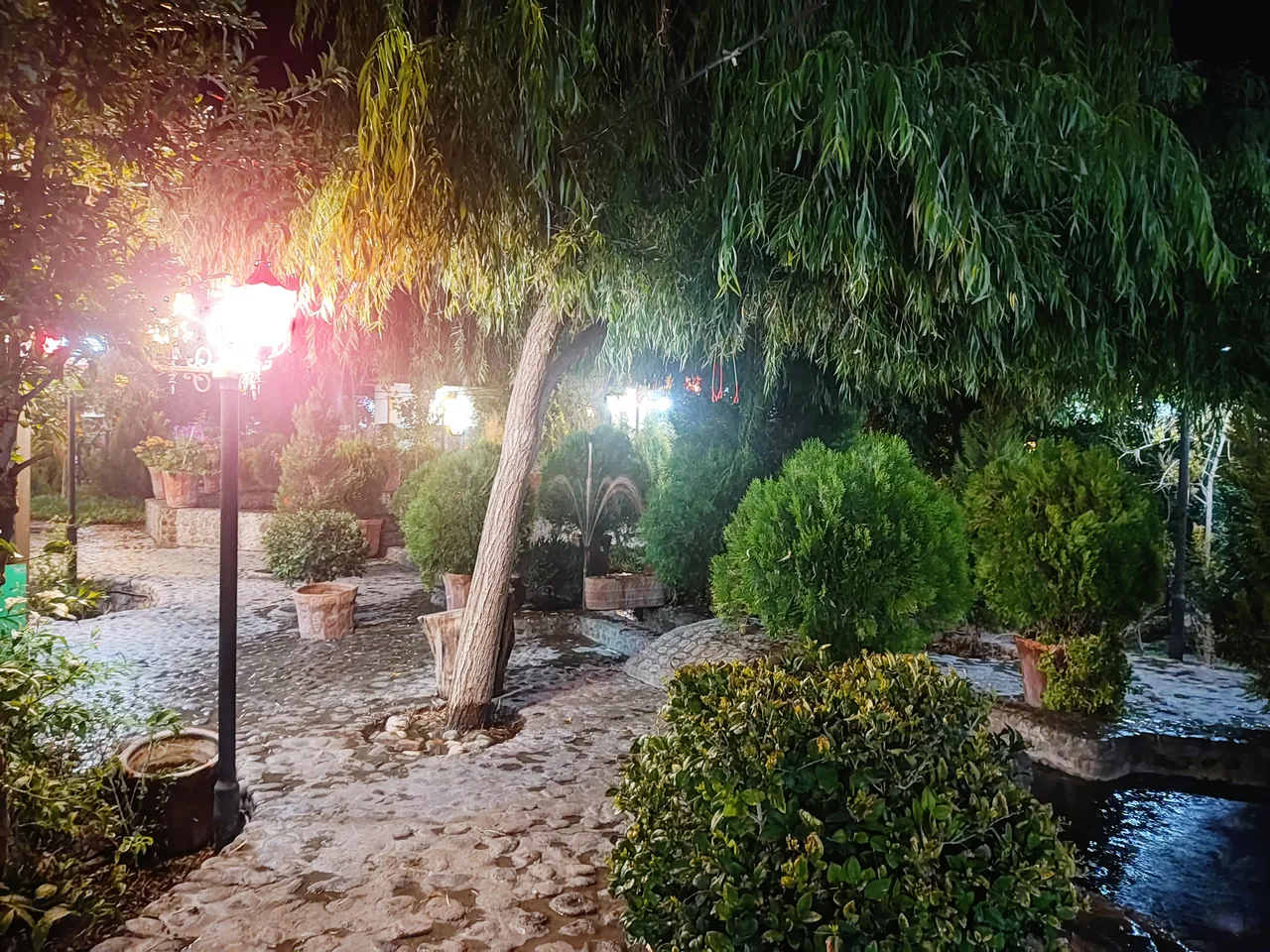 باغ رستوران شانار - تصویر 2