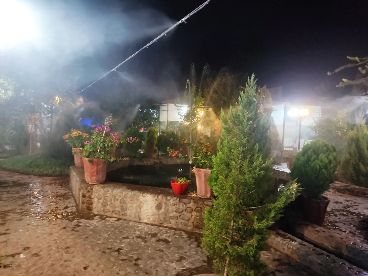 باغ رستوران شانار - تصویر 5