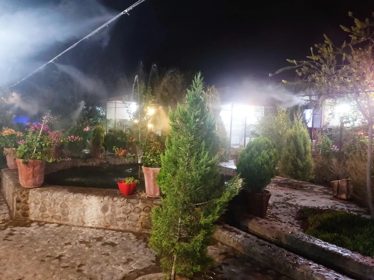 باغ رستوران شانار - تصویر 6
