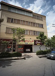 مشاورین املاک سال