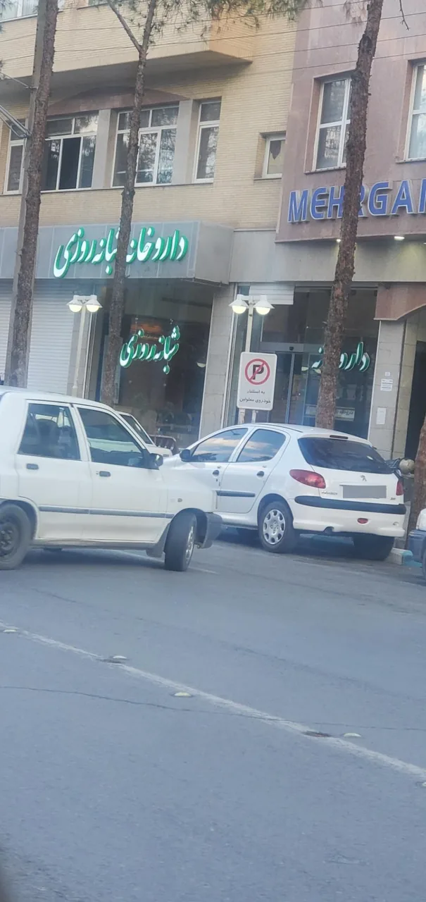 داروخانه مهرگان (دکتر بحرینی) - داروخانه در کرمان - تصویر 2