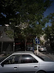 مسکن کلبه
