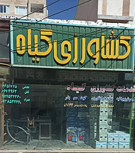 کشاورزی گیاه