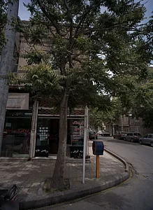 مشاور املاک ثامن