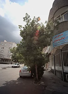 مشاورین املاک توانسازان
