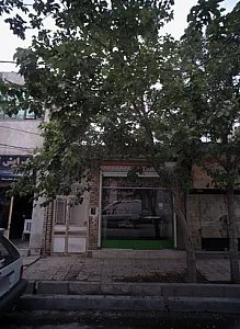 املاک وطن خواه