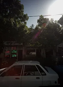 املاک شاهد