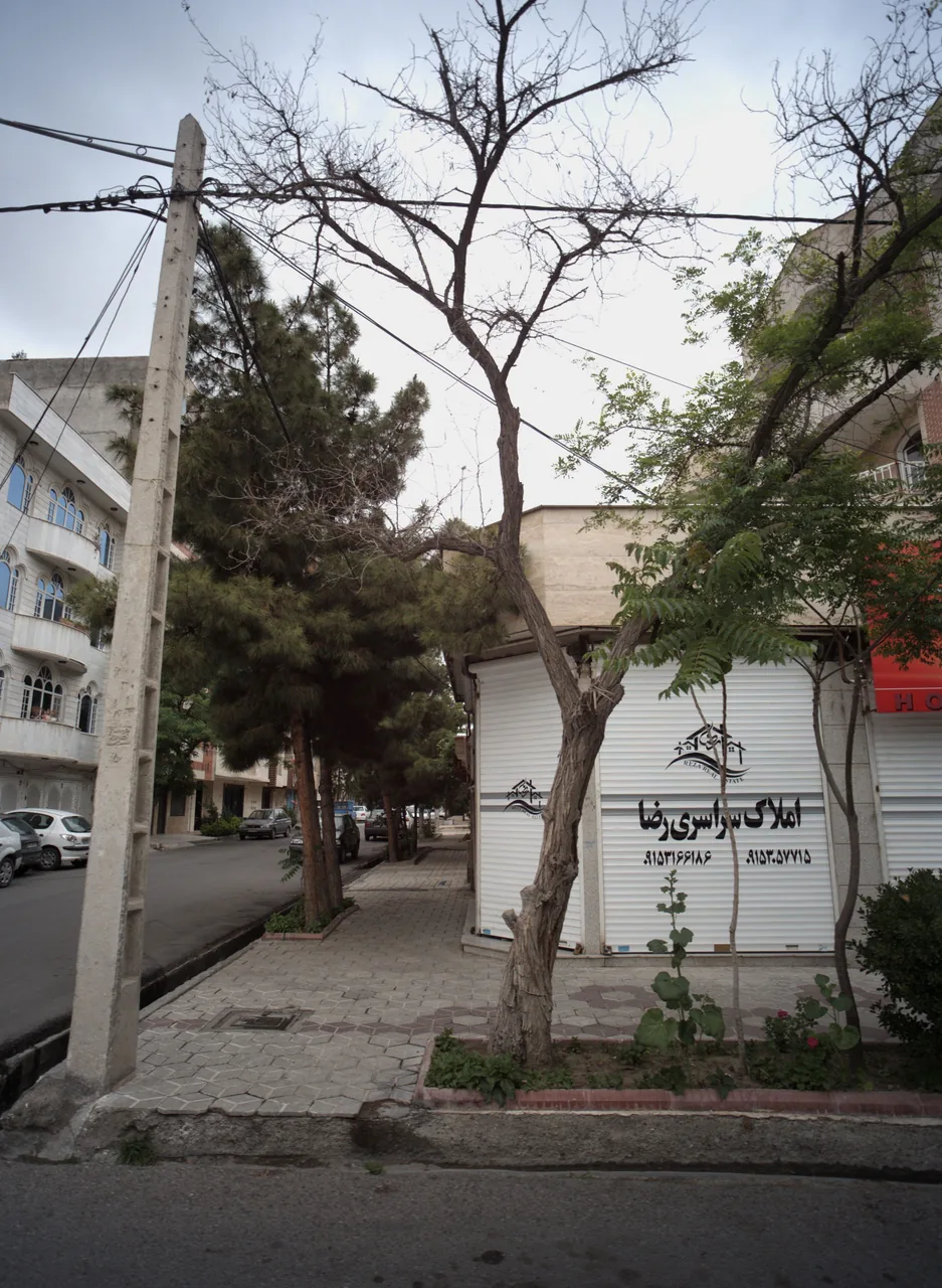 املاک سراسری رضا