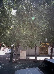 املاک شجاعی