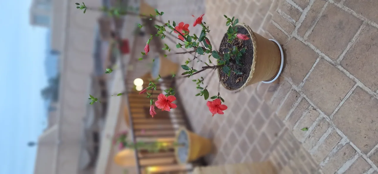 سفره خانه سنتی دلُِ خاک - تصویر 2