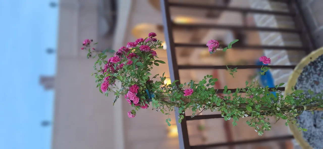 سفره خانه سنتی دلُِ خاک - تصویر 4