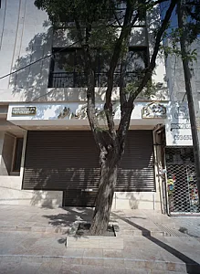 کارگزاری املاک دانشور