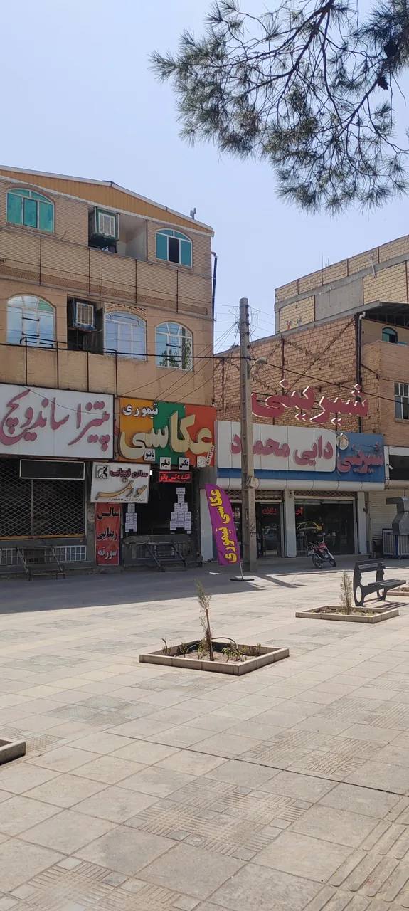 عکاسی تیموری - تصویر 4