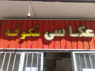 عکاسی شکوفه