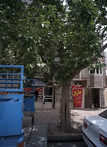املاک یاران