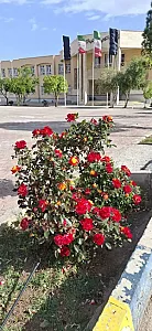مدرسه برازنده مقدم