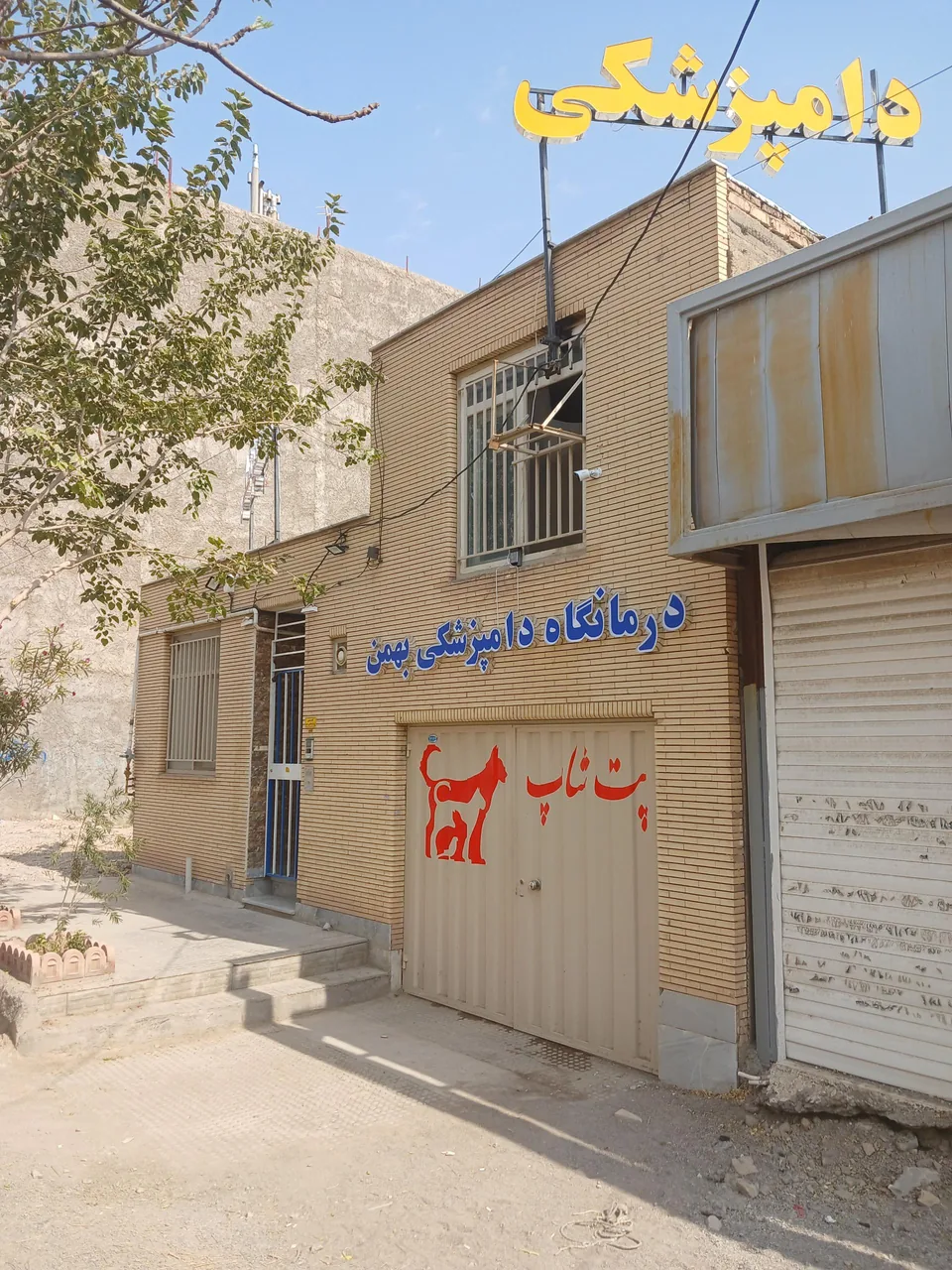 کلینیک دامپزشکی و پت شاپ بهمن - کلینیک دامپزشکی در کرمان
