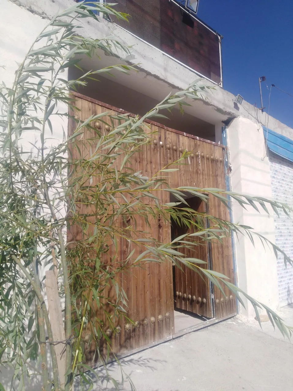 مجموعه پذیرایی بلوط - تصویر 2