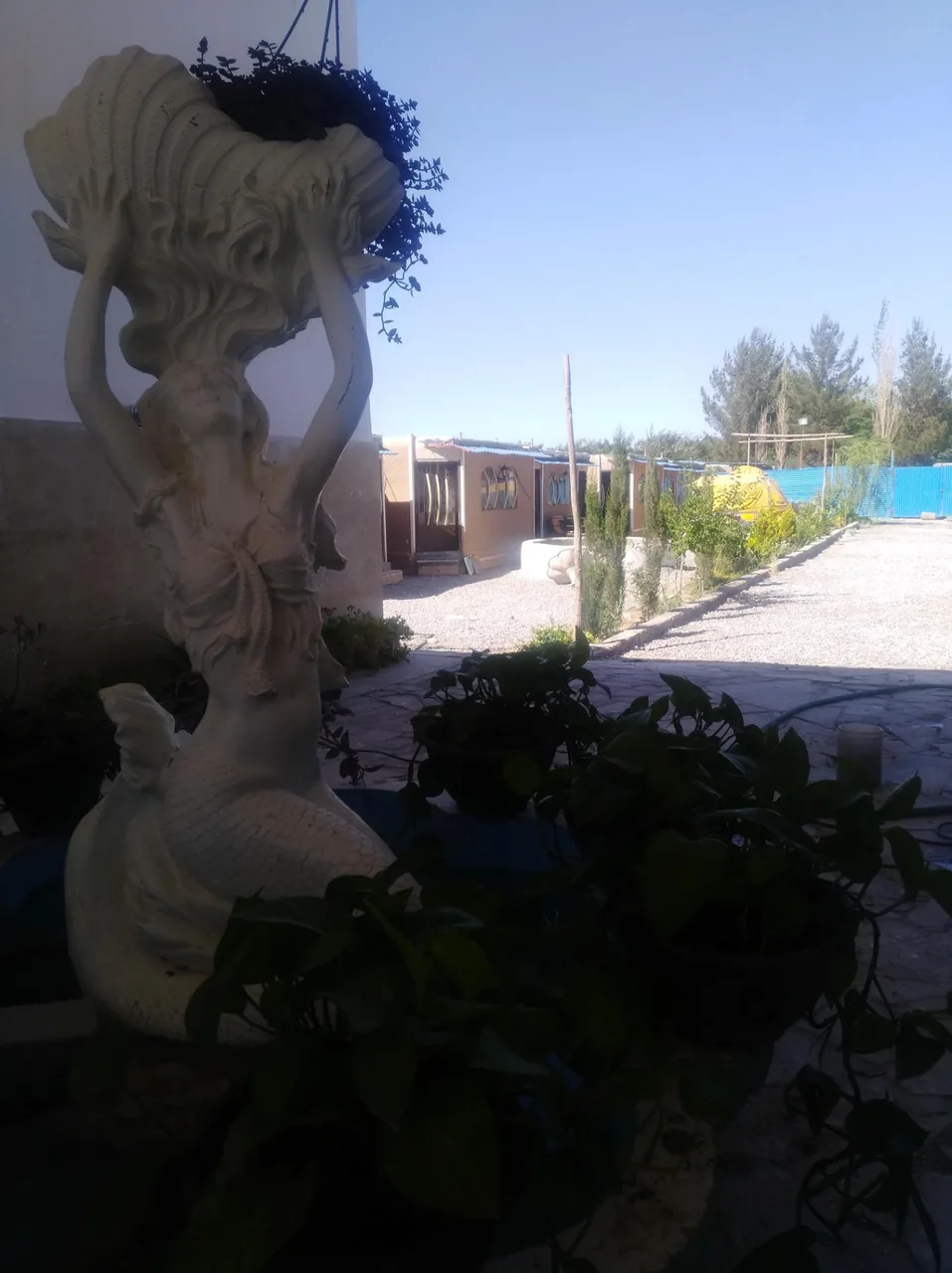 مجموعه پذیرایی بلوط - تصویر 3