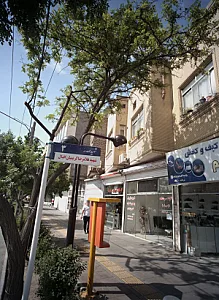 املاک شادی