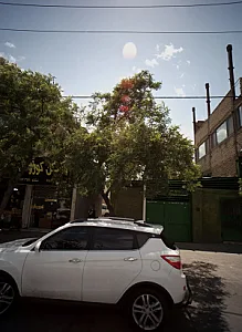 مسکن کوروش