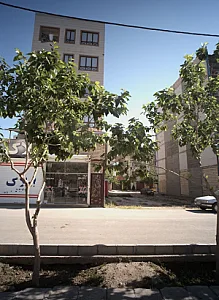 مشاور املاک