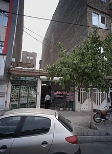 مشاور املاک لطفی
