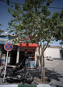 مسکن برادران