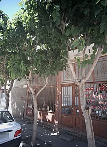 املاک رحیمی