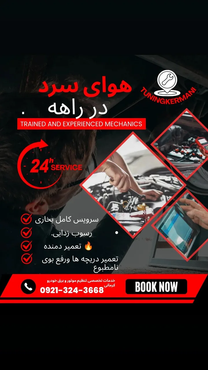 خدمات تنظیم موتور و برق خودرو کرمانی - برق خودرو در کرمان - تصویر 3