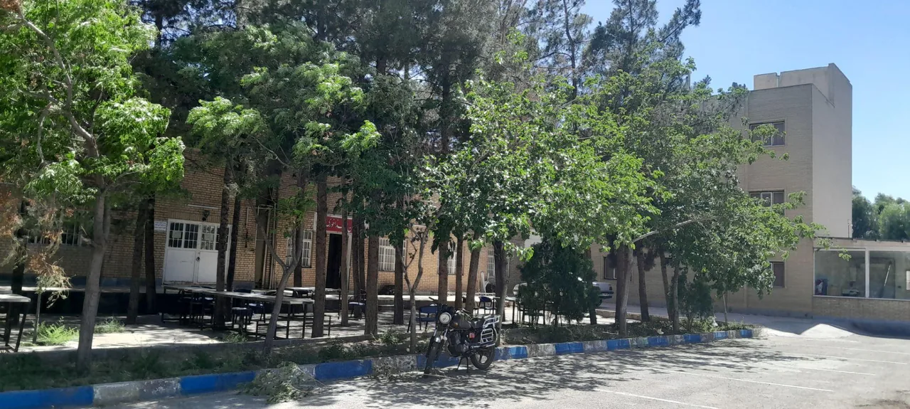 رستوران رزا - تصویر 2