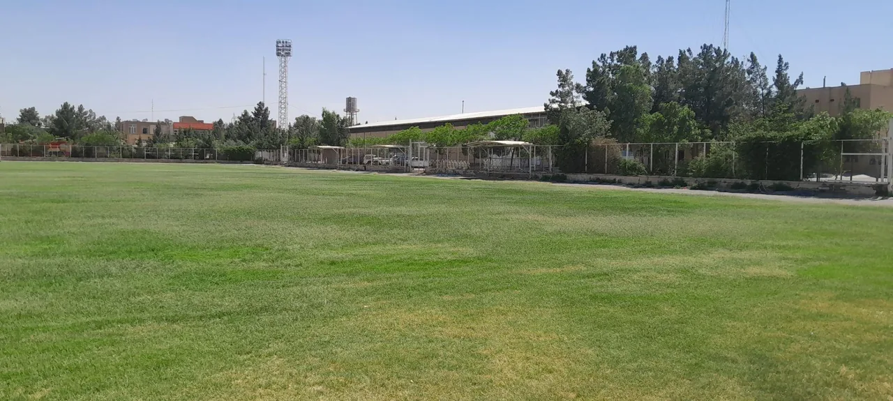 رستوران رزا - تصویر 3