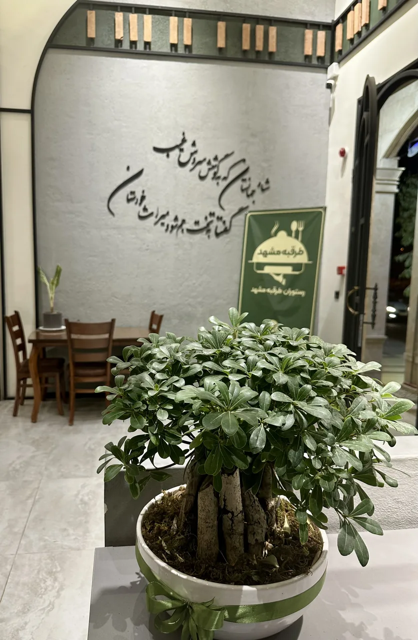 رستوران طرقبه مشهد - تصویر 2