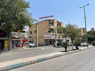 مجموعه لنت ویدکی خارجی درینی
