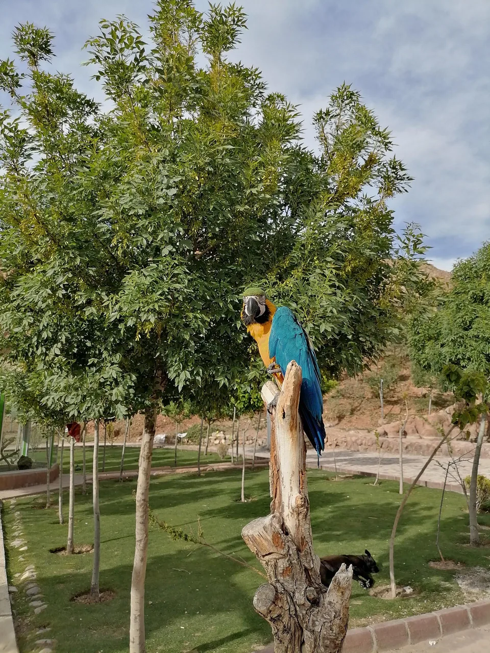 باغ پرندگان تبریز