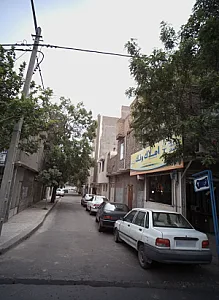 املاک ونک
