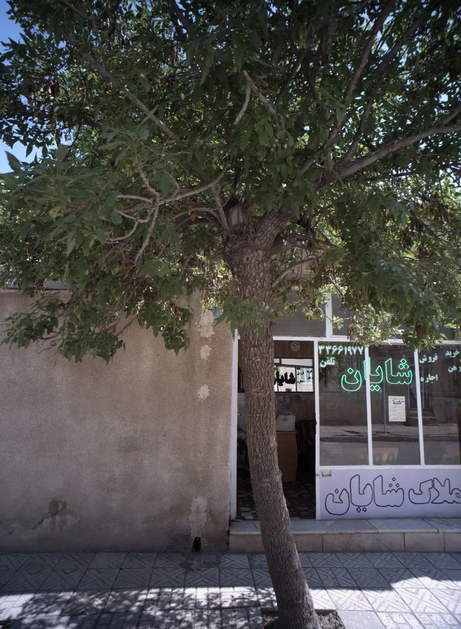 املاک شایان