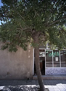 املاک شایان