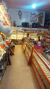 بدلیجات نیلوفر