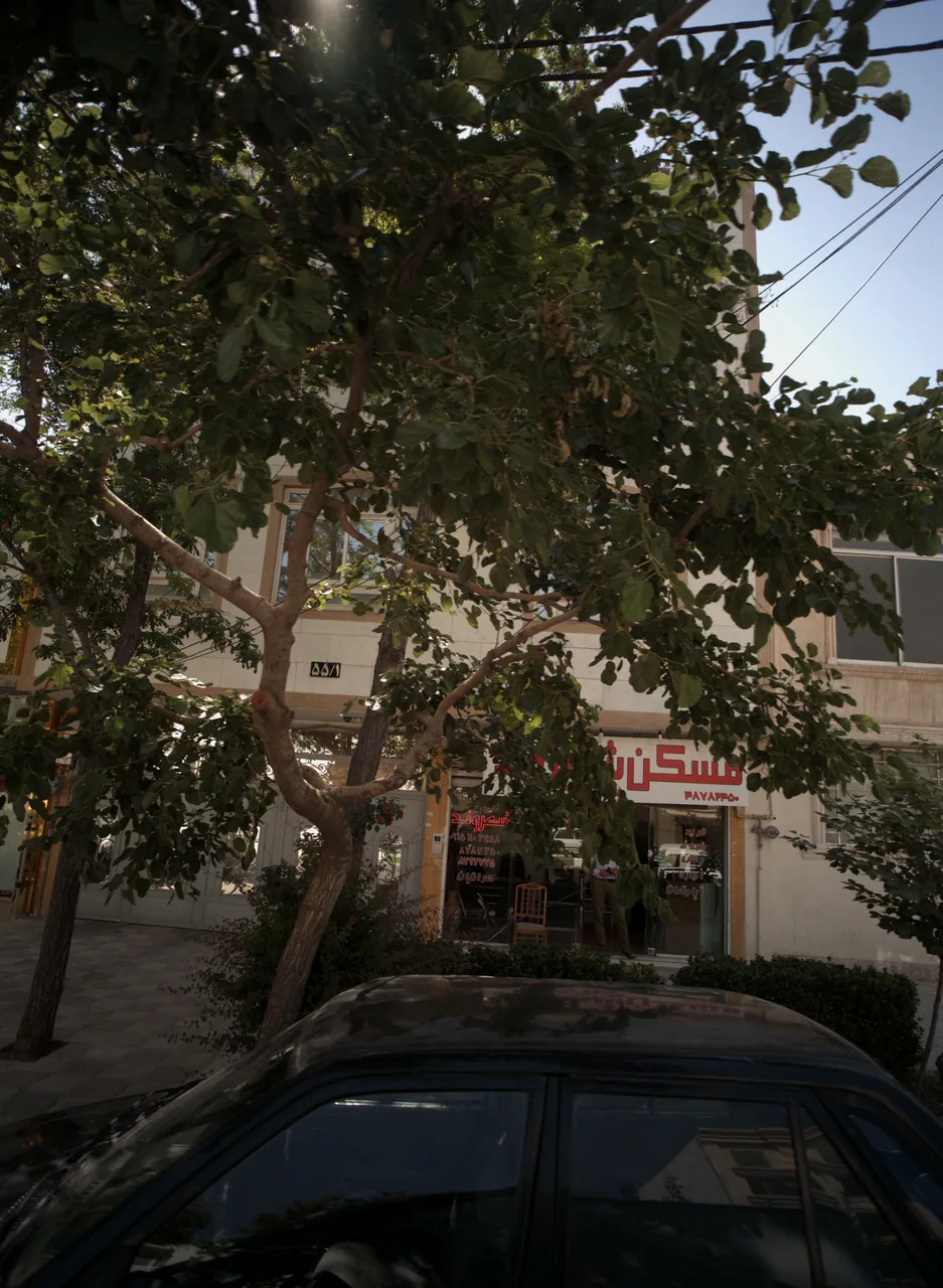 مسکن شهروند