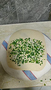 چلوکبابی البرز