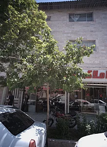 مشاور املاک مظاهر